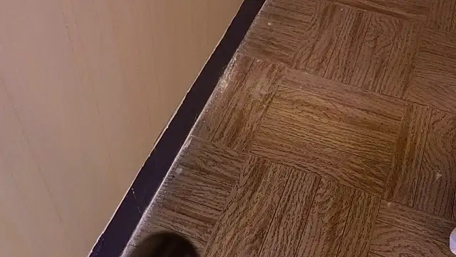 LEXIE_MONROE_'s cam snapshot