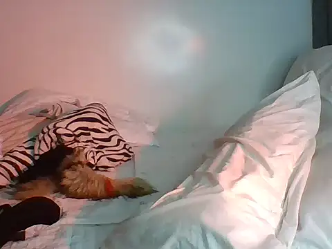 tashwaa live sex cam