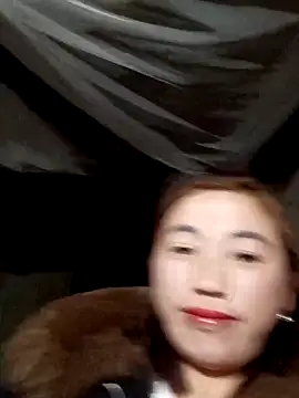 seacyre's cam snapshot