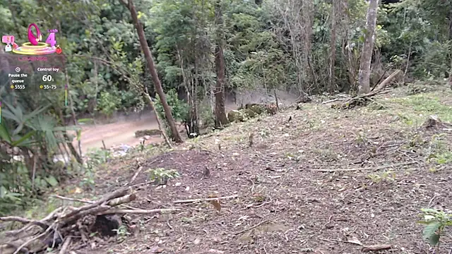 esmeralda_li's cam snapshot