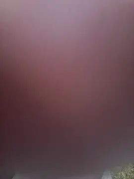 Maahhii's cam snapshot