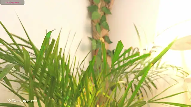 Tommyfoxboy live sex cam