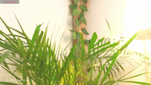 Tommyfoxboy live sex cam