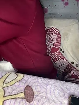 gino-sex live sex cam