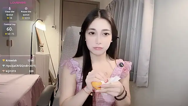 Xiao--Lin's cam snapshot