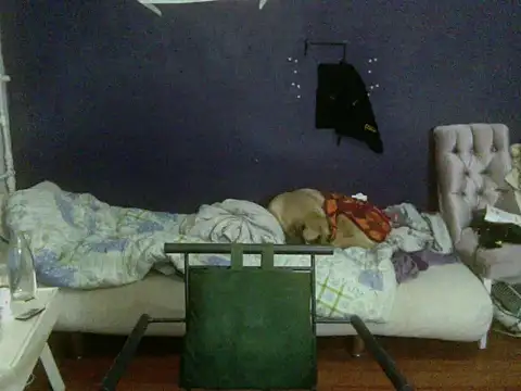 turkishTransEfsun's cam snapshot