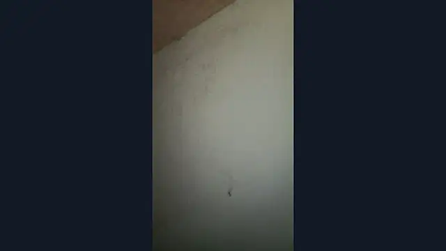 DianaFrosto's cam snapshot