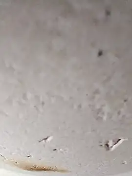 Cr_sonam live sex cam