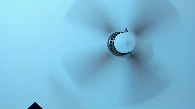 DannaDooll99 live sex cam