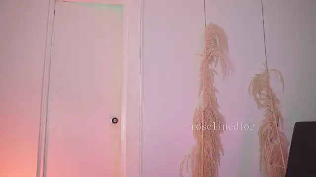 roselinedior live sex cam
