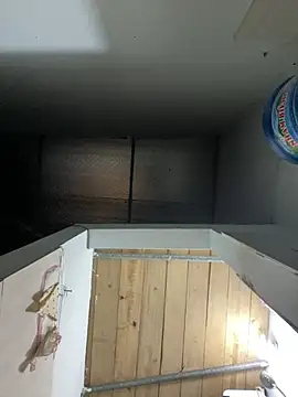 Zinsetka live sex cam