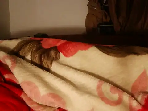 taikhoanbichan's cam snapshot