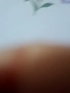 Segredomb's cam snapshot