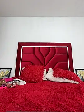 Breisy_bigboobs's cam snapshot