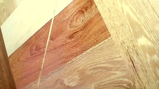 shannon_kinne_ live sex cam