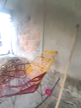 lady_and_charly live sex cam