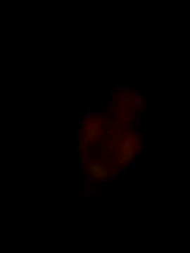 kokoto-59's cam snapshot