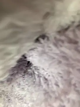 PINO_pino_01 live sex cam