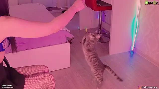 catromance_'s cam snapshot