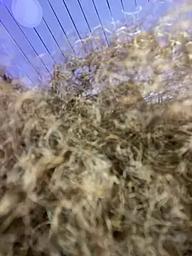 riri_brunnete's cam snapshot