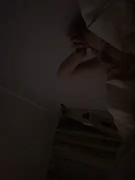 bunnythetailor's cam snapshot