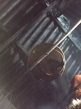 _Helala_'s cam snapshot