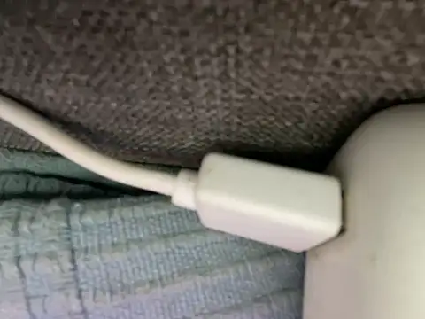 _my_ass_ live sex cam