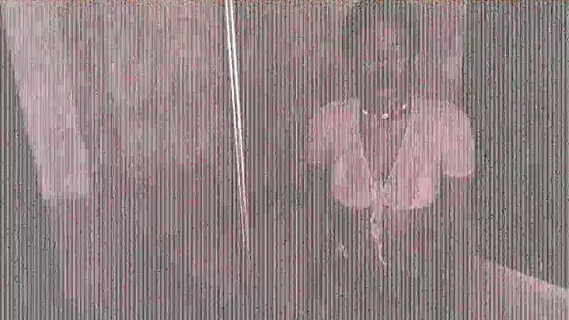 CrystalBrooke3x's cam snapshot