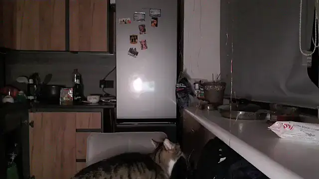 delightful_sofi live sex cam