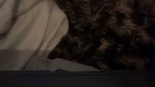 CBT-Sounding's cam snapshot