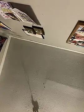 StylishEchium's cam snapshot