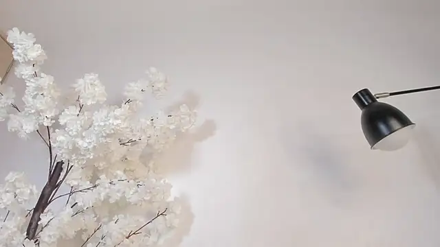 sweetsalice__ live sex cam