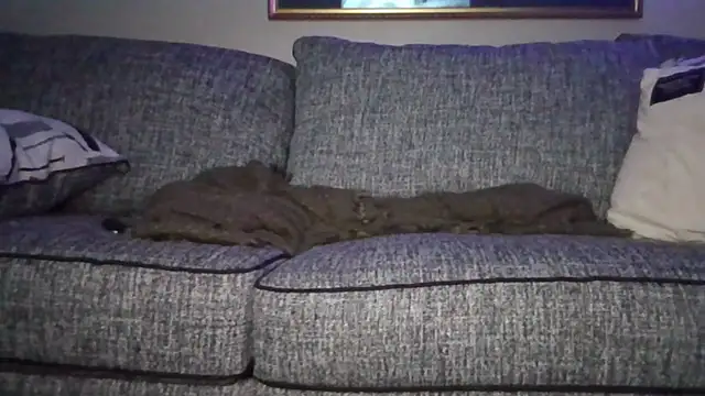 tattedsweets01's cam snapshot