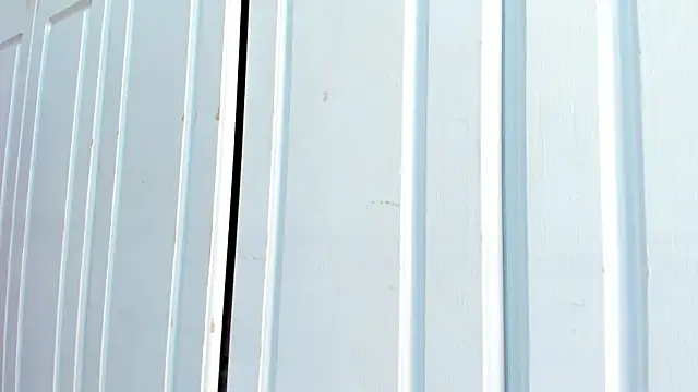 BriggitteEbonny live sex cam