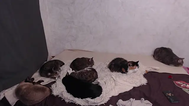 Olivia_Winston's cam snapshot