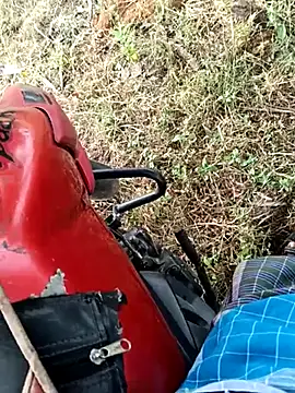 dolphiinn live sex cam