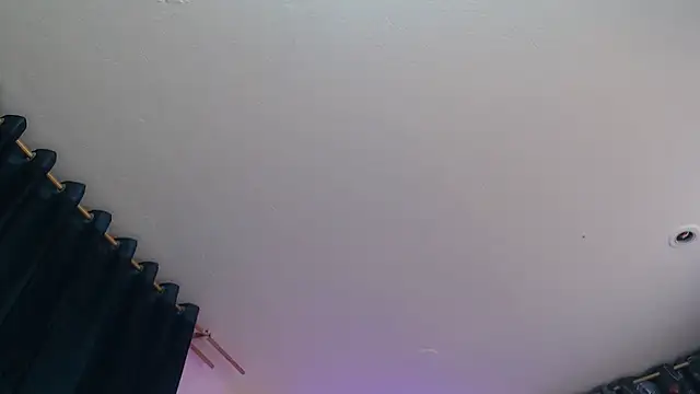 Zulema_R1's cam snapshot