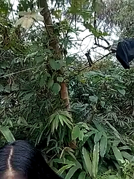 Girl_cutee's cam snapshot