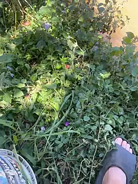 Tony-tran live sex cam