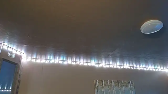 mavismable's cam snapshot