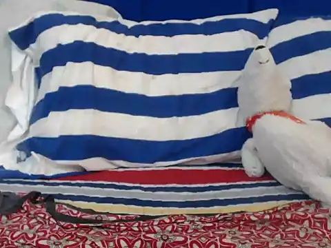 Sweetdol22's cam snapshot