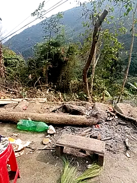 Phoena-a's cam snapshot