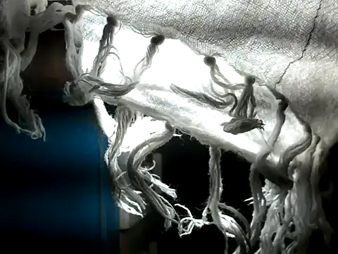 GoloZeusMax live sex cam