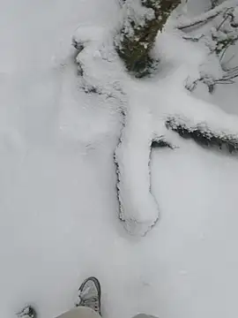 YoungSkinnyBoy20 live sex cam