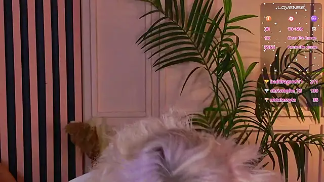 Waifu_Ketrin live sex cam