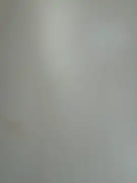 TheaWren's cam snapshot