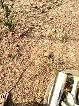 telugu026's cam snapshot