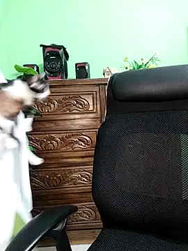 Idhika-Paul's cam snapshot