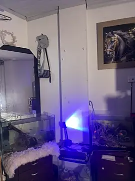 CRAZY-BOY99 live sex cam