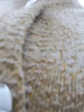 Gulika_Doshi's cam snapshot